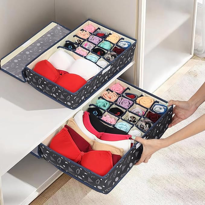 Innerwear Organizer 15+1 Compartment Non - Smell Non Woven (Black Carrot, Rectangular) - salesmania