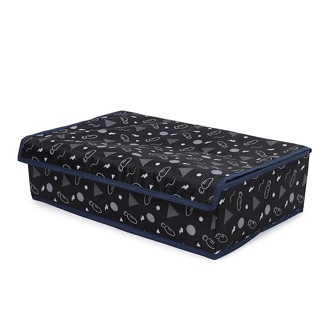 Innerwear Organizer 15+1 Compartment Non - Smell Non Woven (Black Carrot, Rectangular) - salesmania