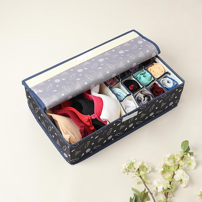 Innerwear Organizer 15+1 Compartment Non - Smell Non Woven (Black Carrot, Rectangular) - salesmania