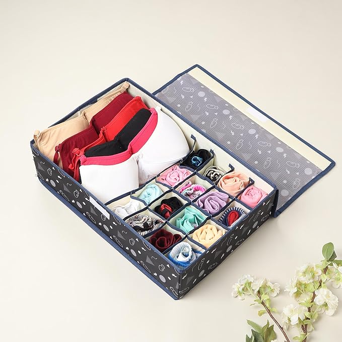 Innerwear Organizer 15+1 Compartment Non - Smell Non Woven (Black Carrot, Rectangular) - salesmania