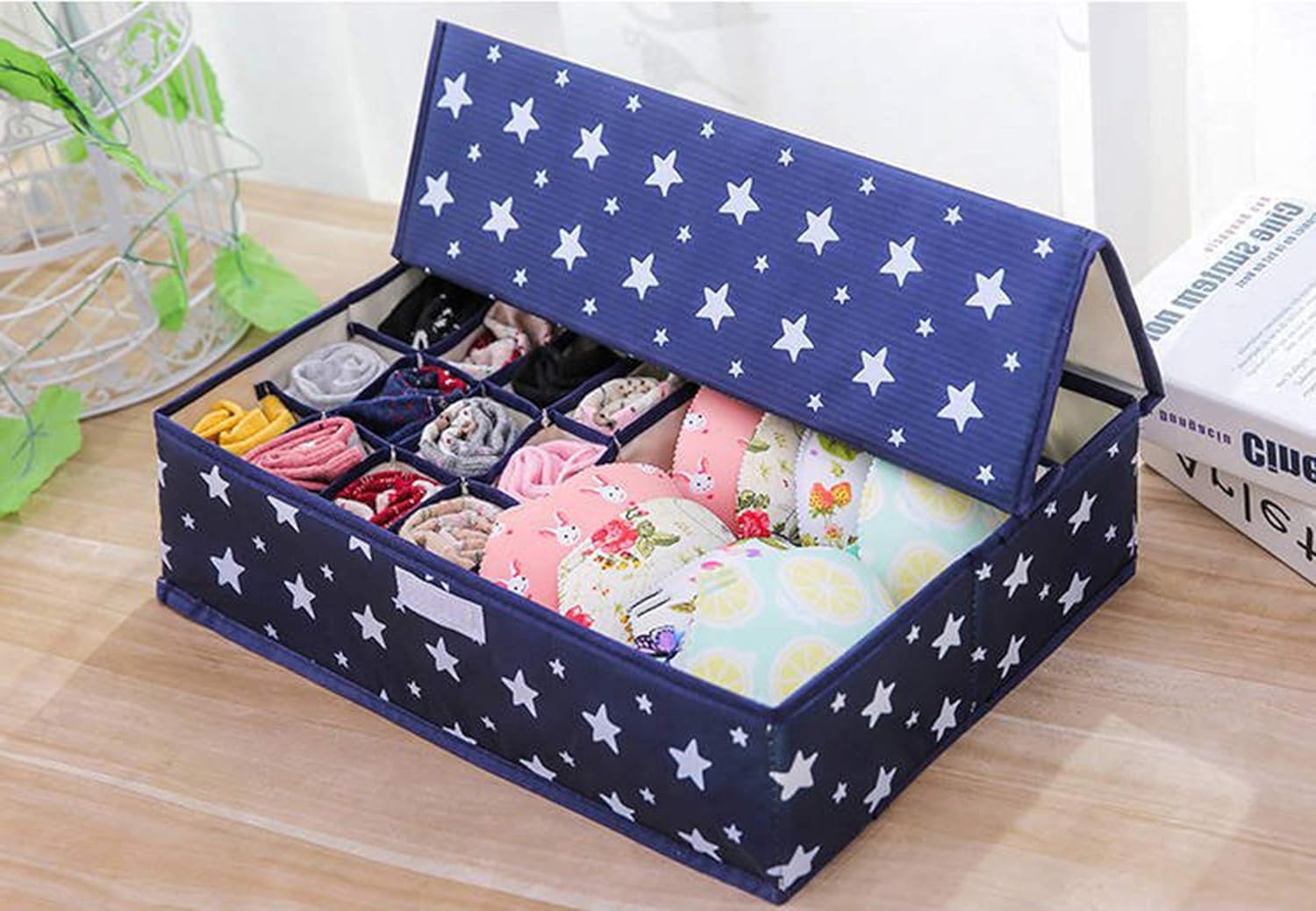 Innerwear Organizer 16+1 Compartment Foldable Closet - salesmania